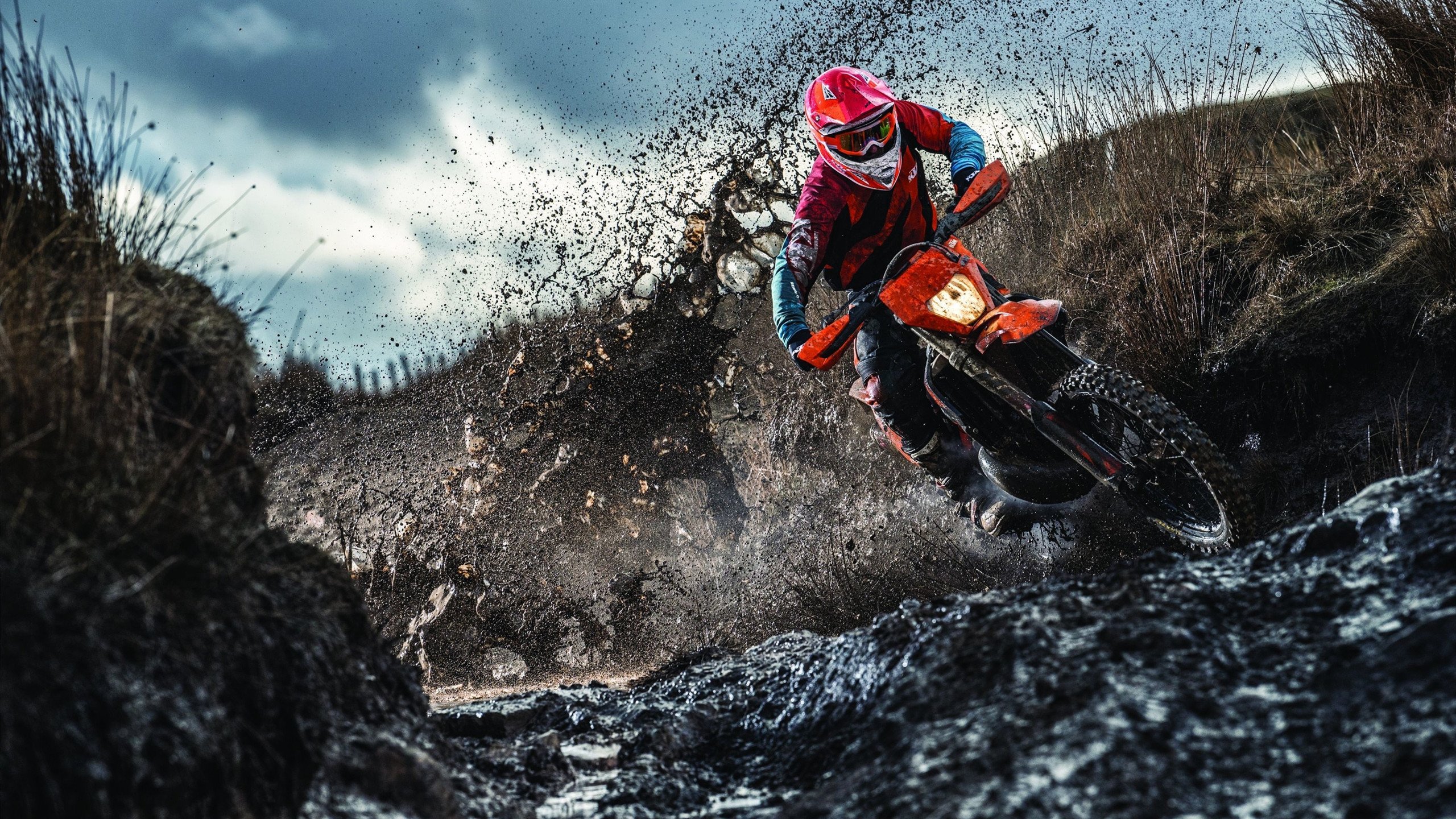 冰与火之歌,太阳熔炉逆转鹈鹕,字母寒流席卷骑士